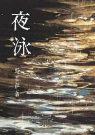 夜游人小说免费阅读